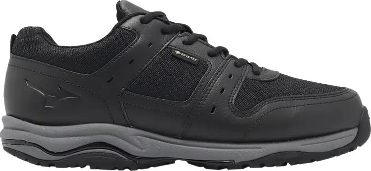 

Кроссовки 0D100 GORE-TEX 8 'Black', черный