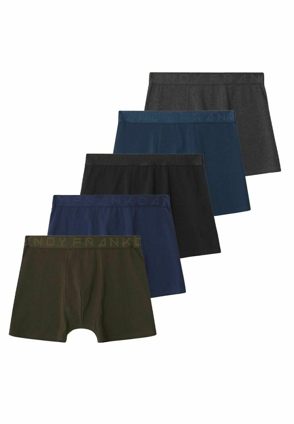 

Брюки 5-PACK LEGEND BOXER BRIEF Frank Dandy, мультиколор