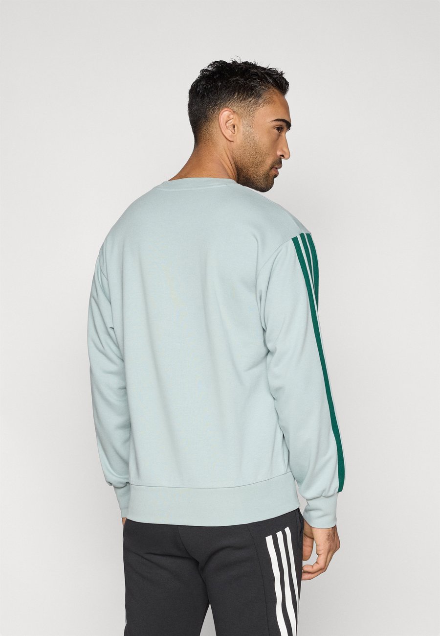 Толстовка Adidas Sportswear Sweatshirt, Sage/Collegiate Green/Light Green — фото 3