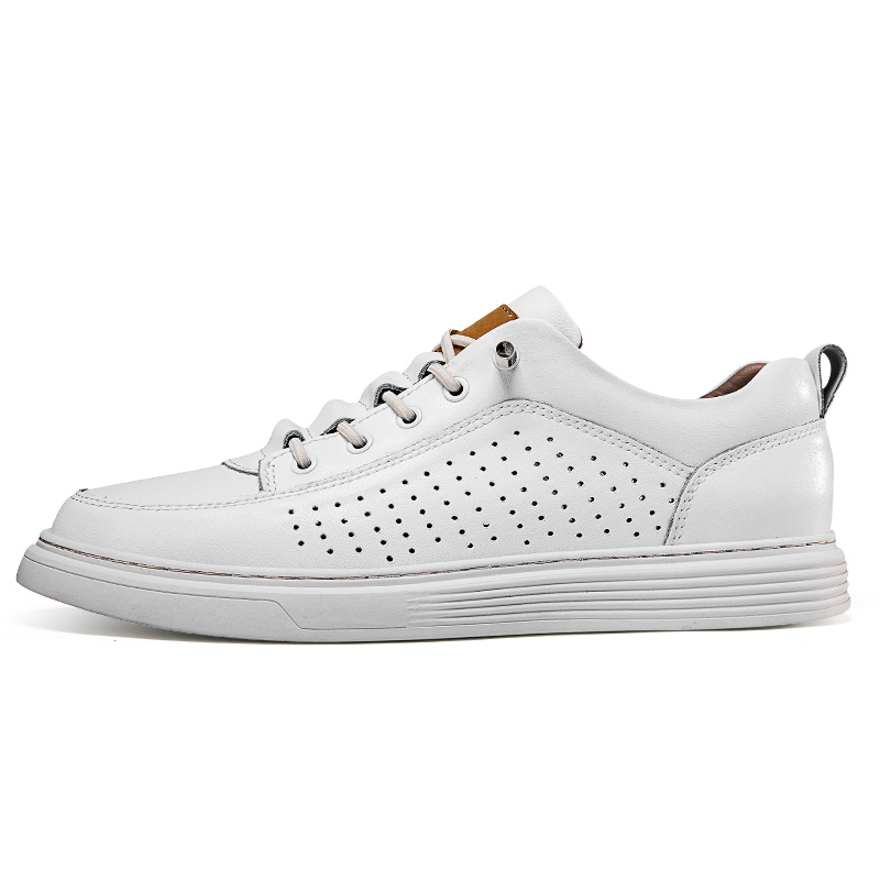 

Dao Tu Sen Низкие скейтерские кроссовки унисекс белые (H3001), цвет White-(H3001)