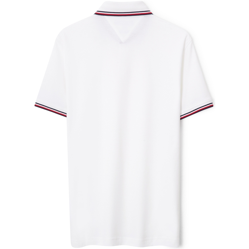 Футболка поло мужская Cloud Bath White Tommy Hilfiger, Cloud Bath White YAF — фото 3
