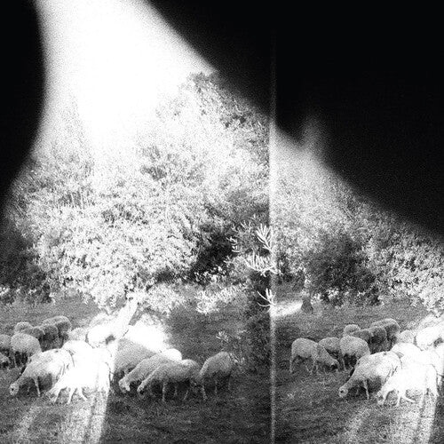 

CD диск Godspeed You Black Emperor: Asunder Sweet & Other Distress