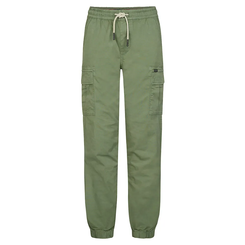 

Грузовые шорты Petrol Industries B-1060-TRO589, зеленый