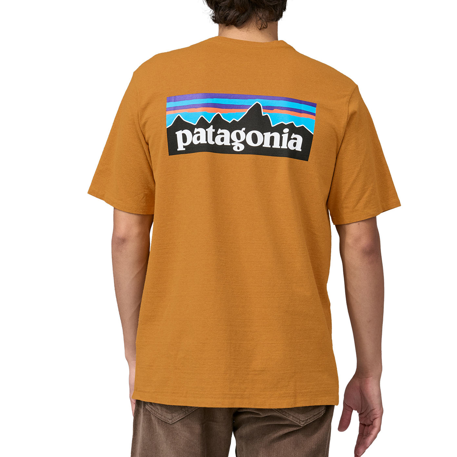 

Мужская футболка с логотипом P-6 Responsibili. Patagonia, Dried Mango