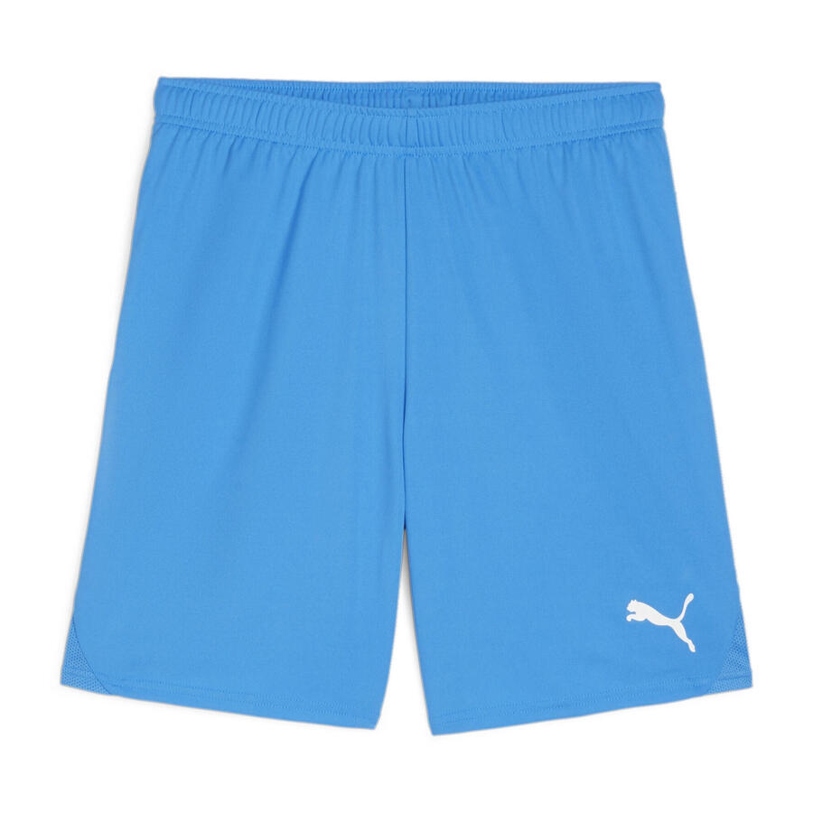 

Шорты Puma мужские teamGOAL 705752