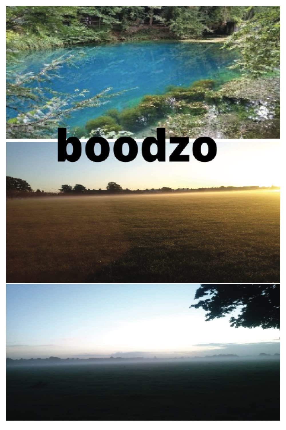 

boodzo (Independently published)