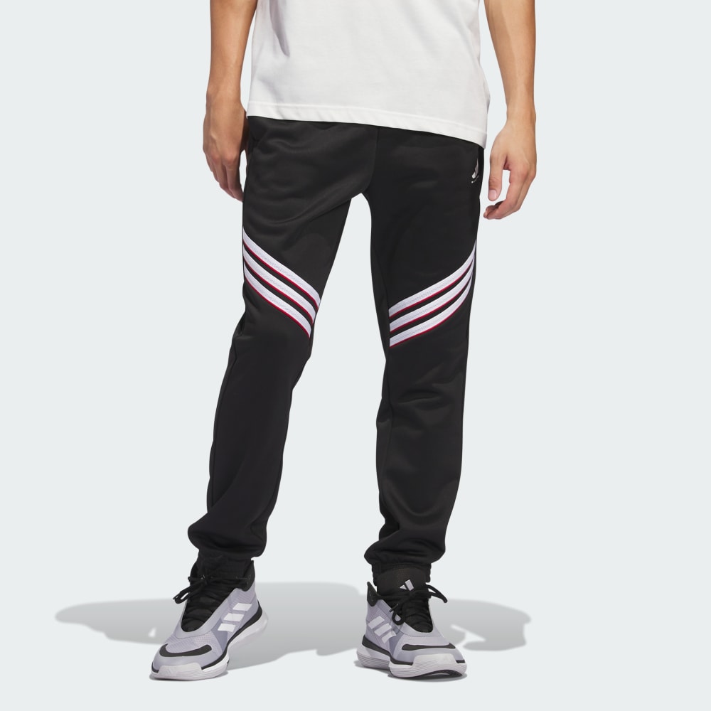 

Спортивные брюки Adidas Basketball Crazy Warm Fleece Pants, черный/белый