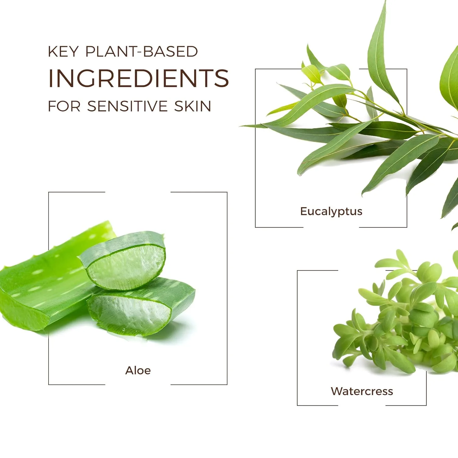 Увлажняющий гель после загара Babo Botanicals с алоэ вера, натуральным экстрактом гамамелиса и огурца, веганский, подходит для младенцев, детей и чувствительной кожи - 227 мл., green — фото 3