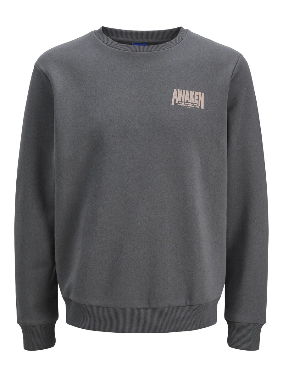 

Толстовка JACK & JONES JACK & JONES , Grey/Taupe