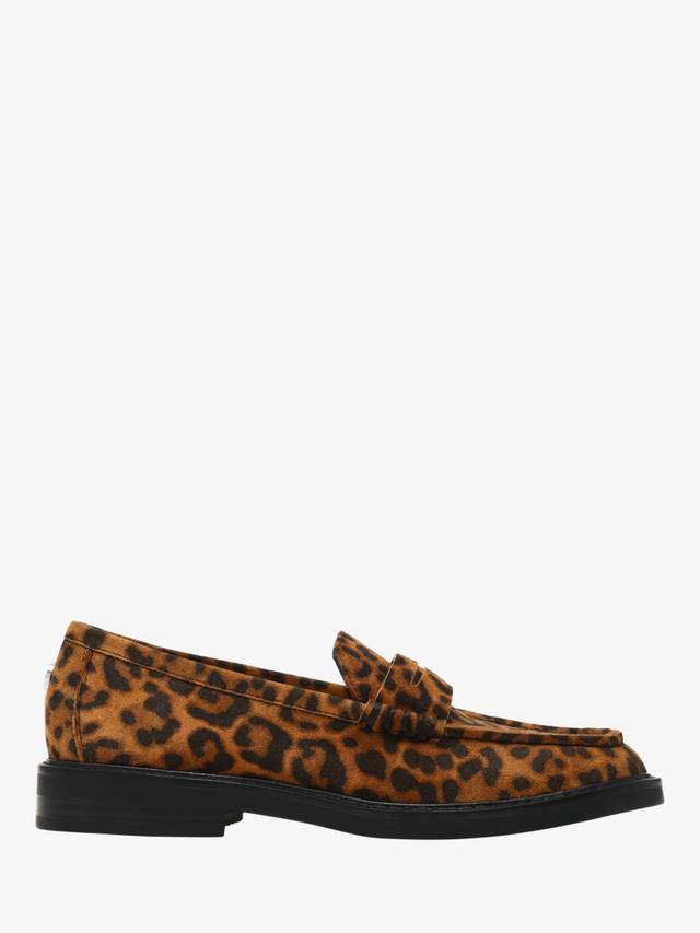 Adison балетки с леопардовым принтом на плоской подошве Steve Madden