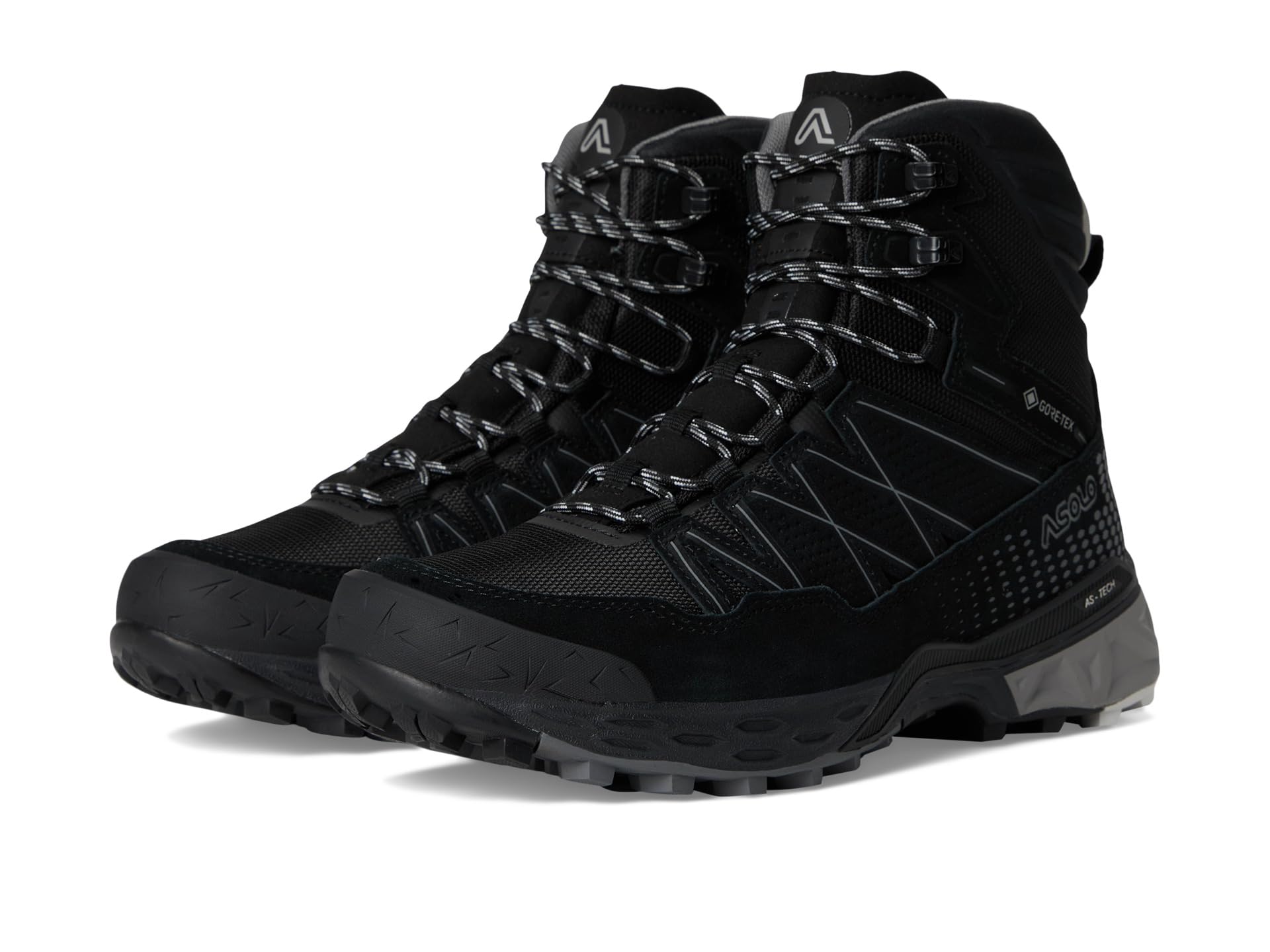 Ботинки Asolo Tahoe Winter GTX, черный