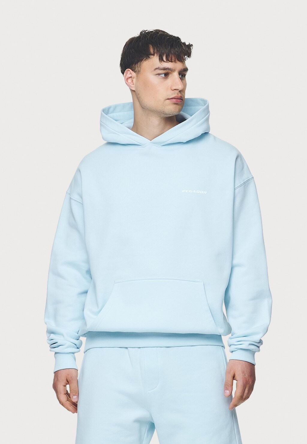 

Свитер с капюшоном LOGO HOODIE Pegador, светло-голубой