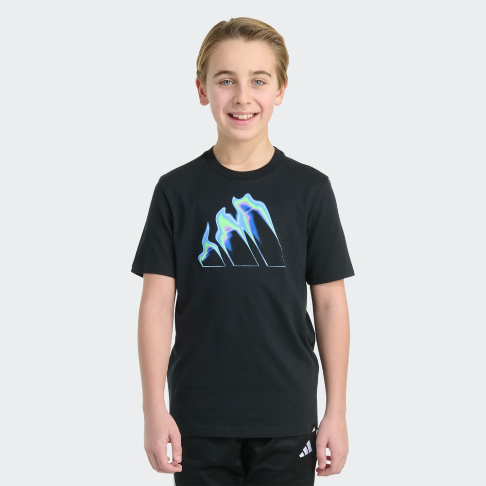 

Футболка Adidas Short Sleeve Flame Logo Tee, черный