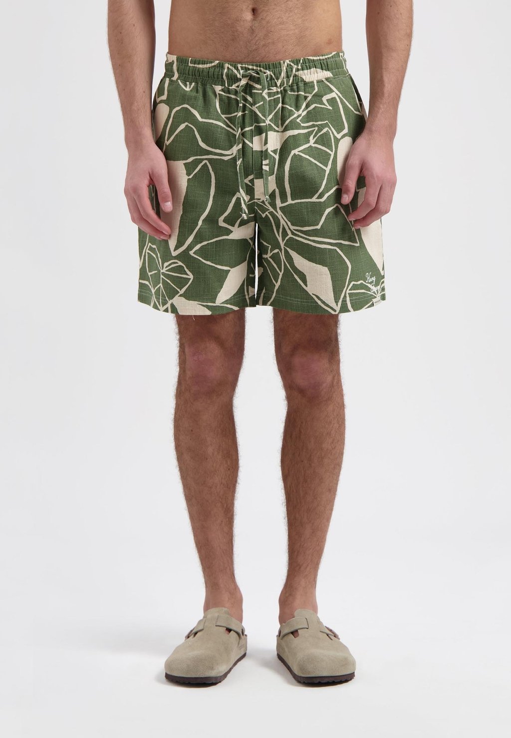 

Шорты PLANTS SLUB HANG ELEVEN, зеленый