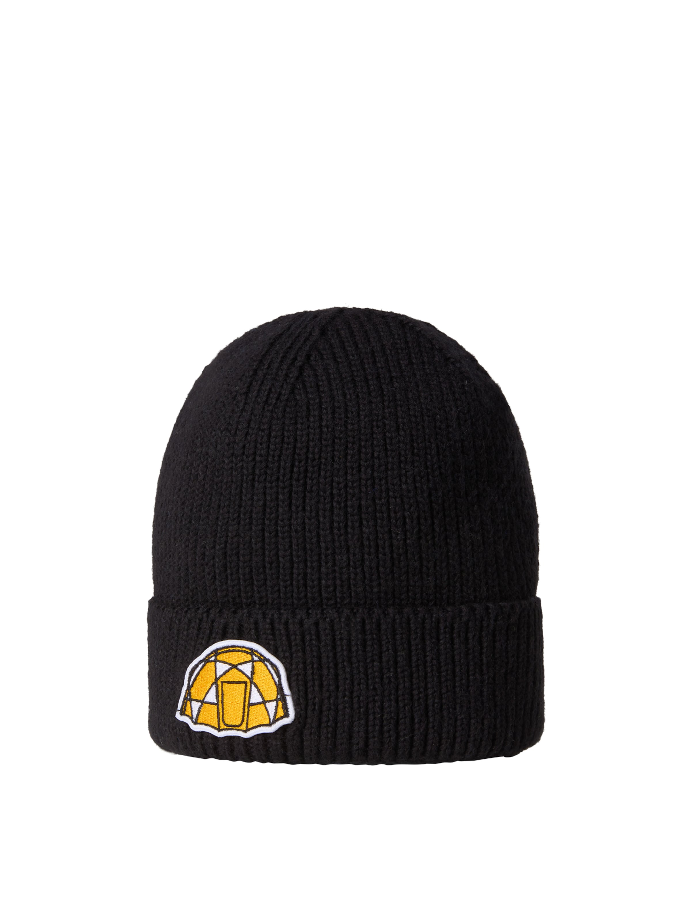 

THE NORTH FACE Шапка в черном цвете