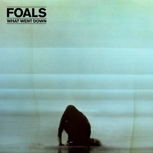 

Виниловая пластинка Foals: What Went Down