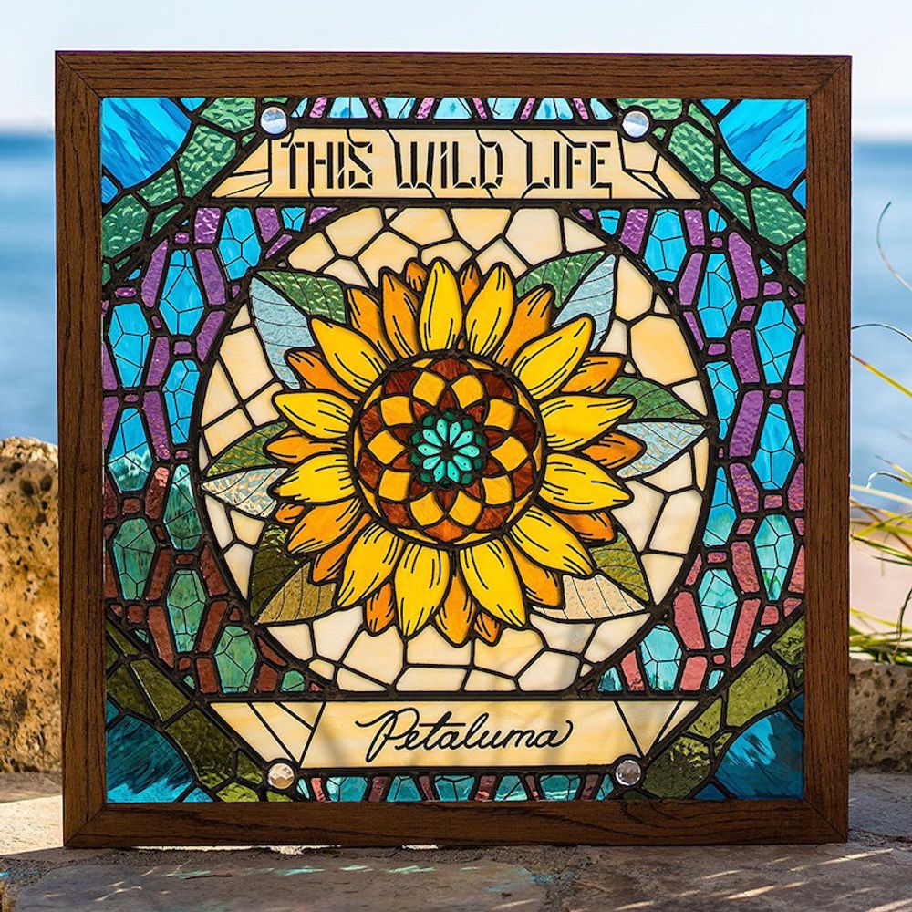 

Диск CD Petaluma - This Wild Life