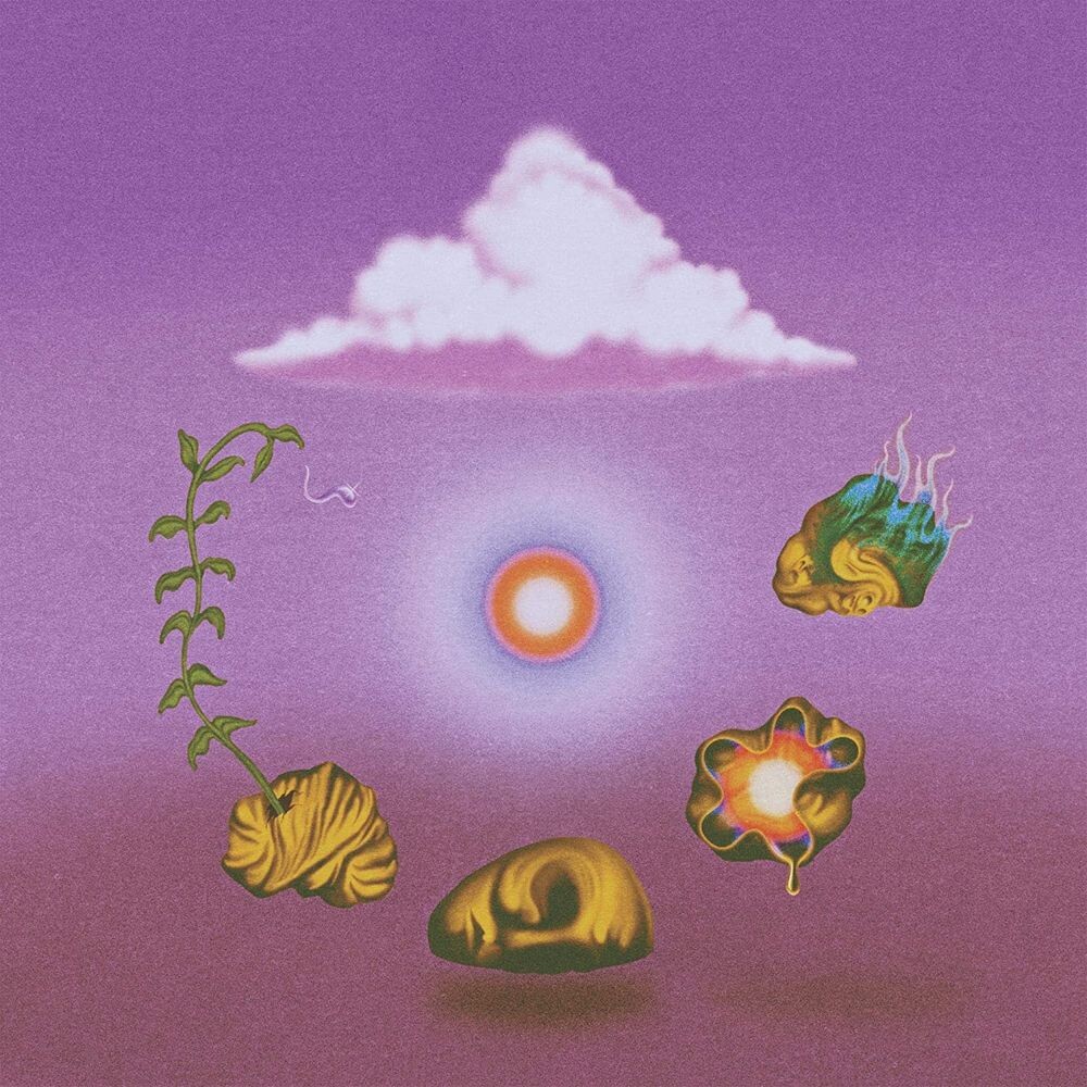 

Виниловая пластинка LP Site Out Of Mind - Evolfo