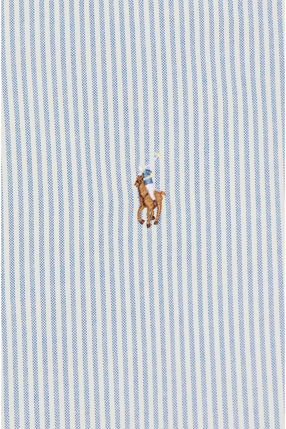 Оксфордская спортивная рубашка Polo Ralph Lauren, Blue & White — фото 3
