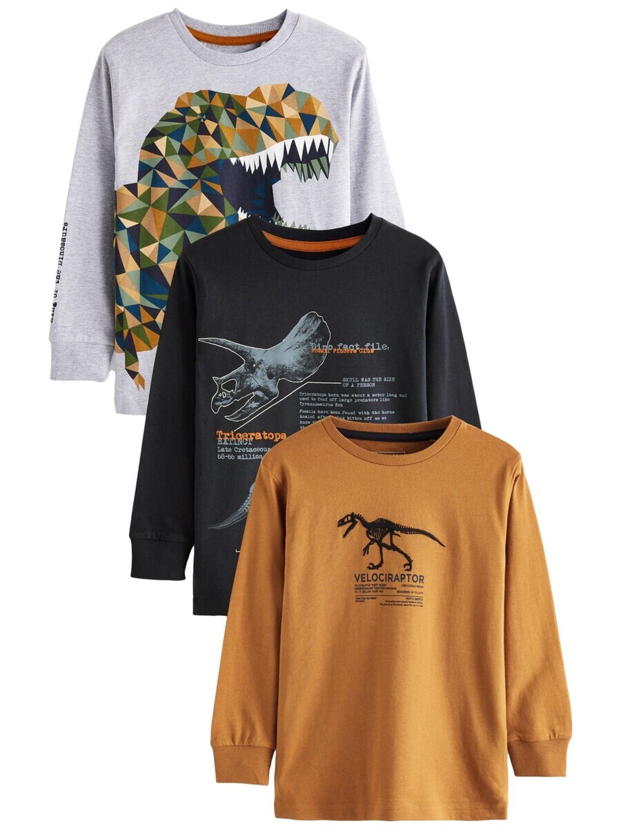 

Лонгслив Next Shirt, разноцветный