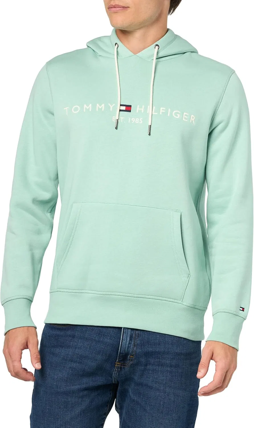 Мужская толстовка с капюшоном, флис, Tommy Hilfiger, Crushed Mint — фото 3