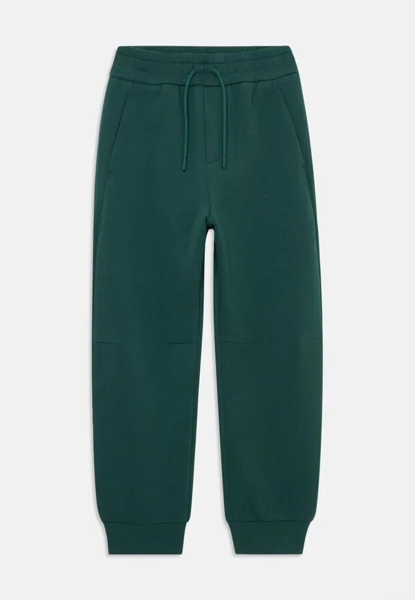 Брюки спортивные штаны Emporio Armani, June Bug
