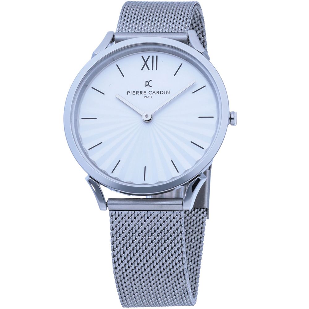 

Серебряные мужские часы Pierre Cardin