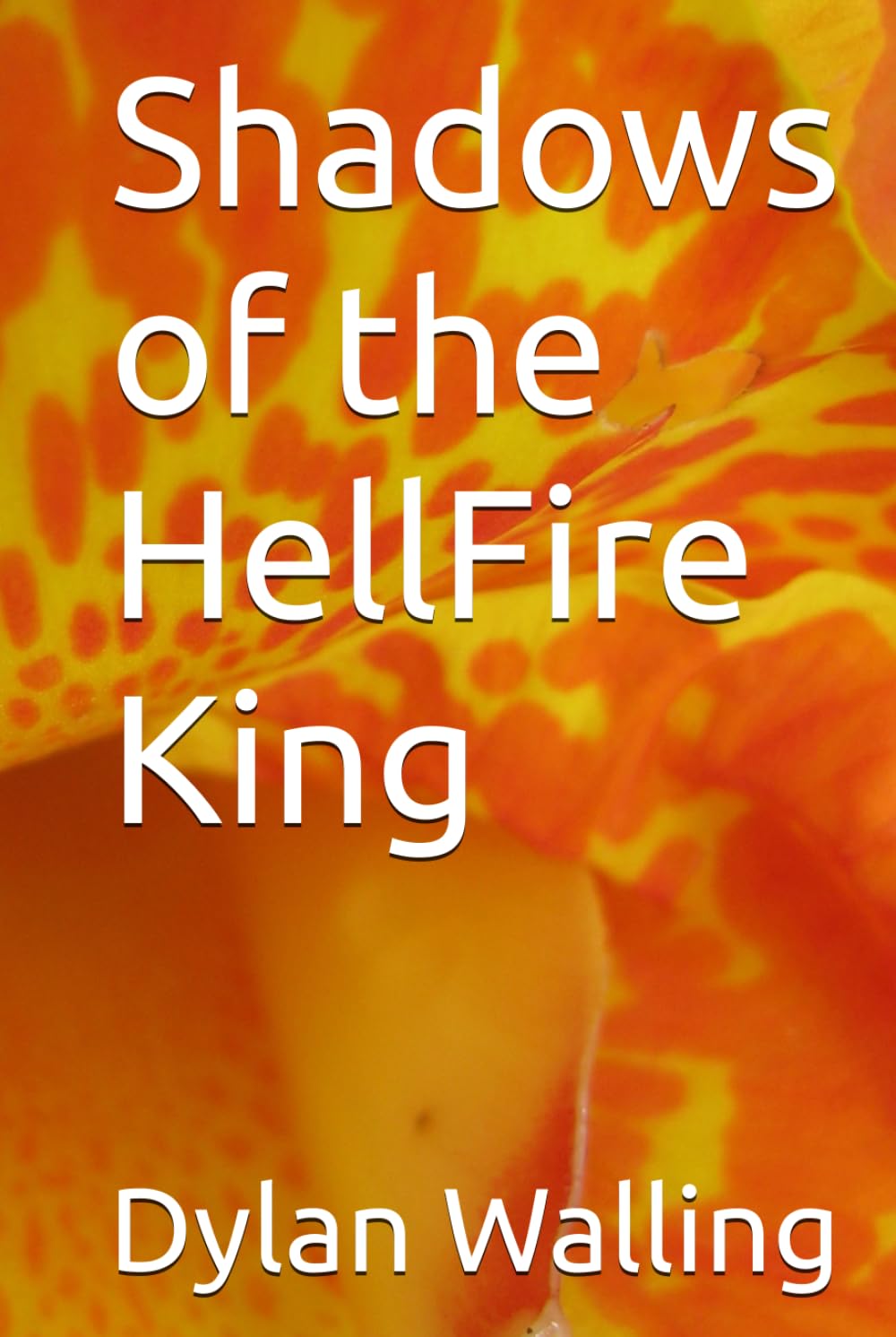 

Shadows of the HellFire King (Independently published)