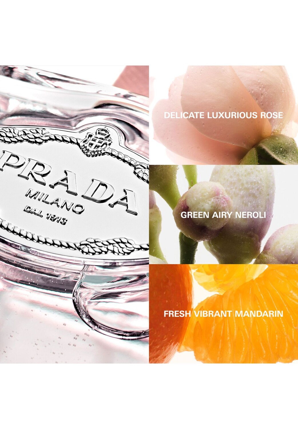 Роза, Парфюмированная вода 100ml PRADA — фото 3