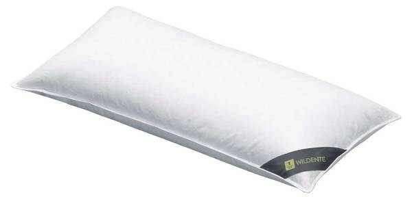 

Пуховая подушка Spessarttraum 3-Kammer Wildente, 40x20x80 см, серебряный