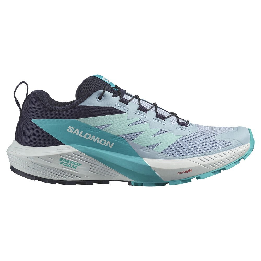 Кроссовки Salomon Sense Ride 5 Trail, черный