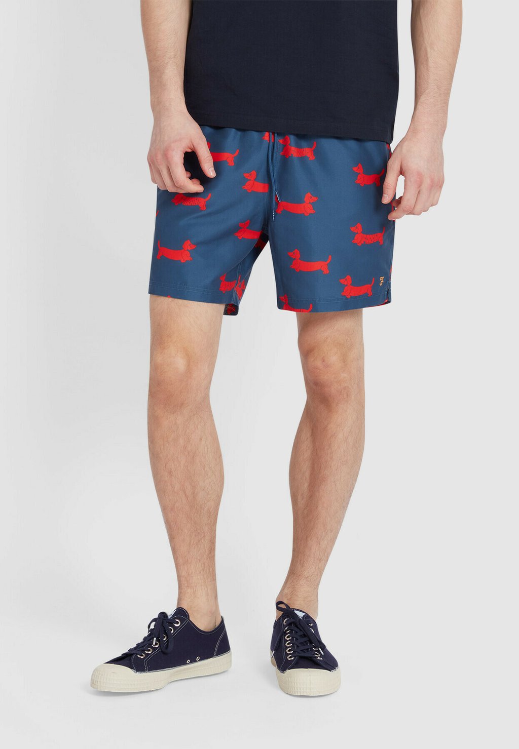 

Пляжные шорты COLBERT DOG PRINT Farah, синий