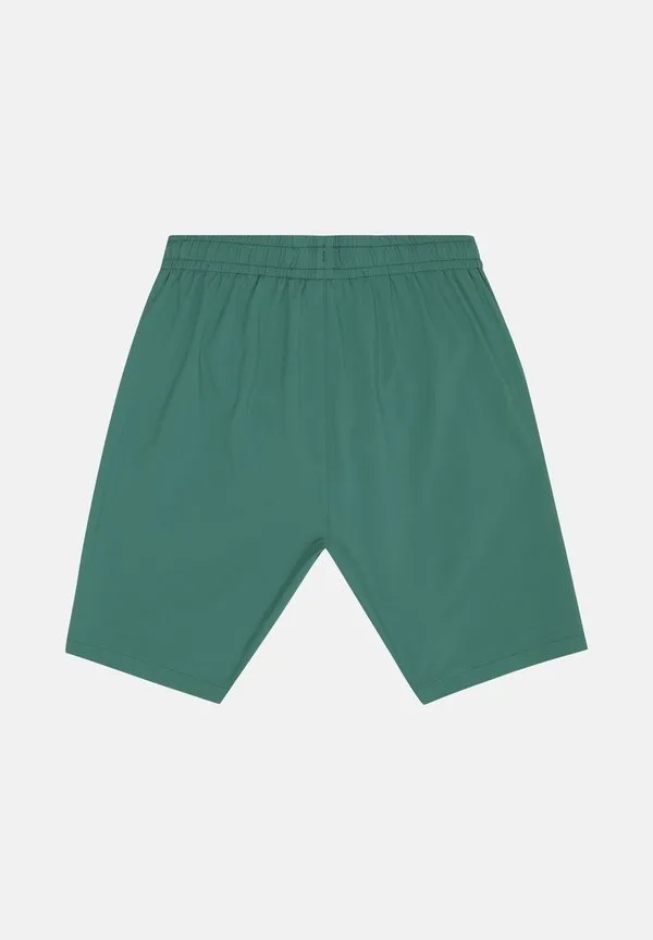 Одежда tinelli, обычные плавательные шорты с логотипом Fila, Posy Green — фото 2