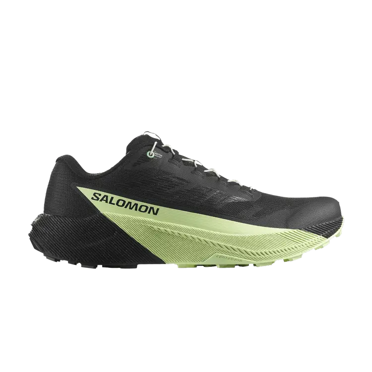 

Кроссовки Salomon Pulsar, Black Patina Green