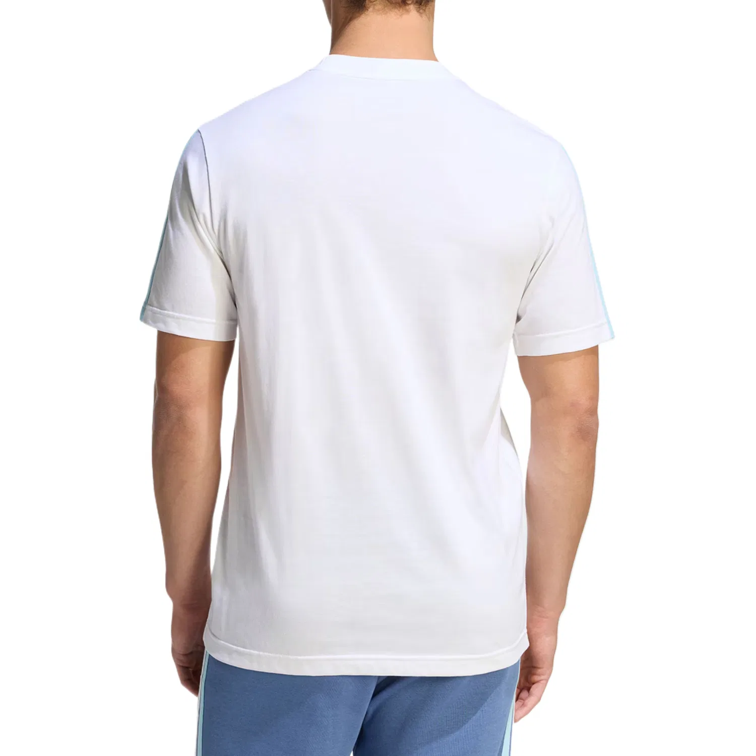 Футболка Аргентина мужская Adidas, White/Blue — фото 4