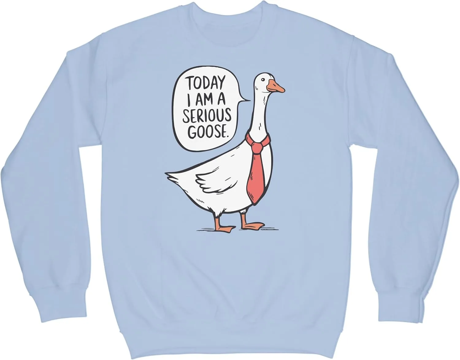 

LIBBY'S BENCHMARK27 DESIGNS Толстовка Today I’m a Serious Goose