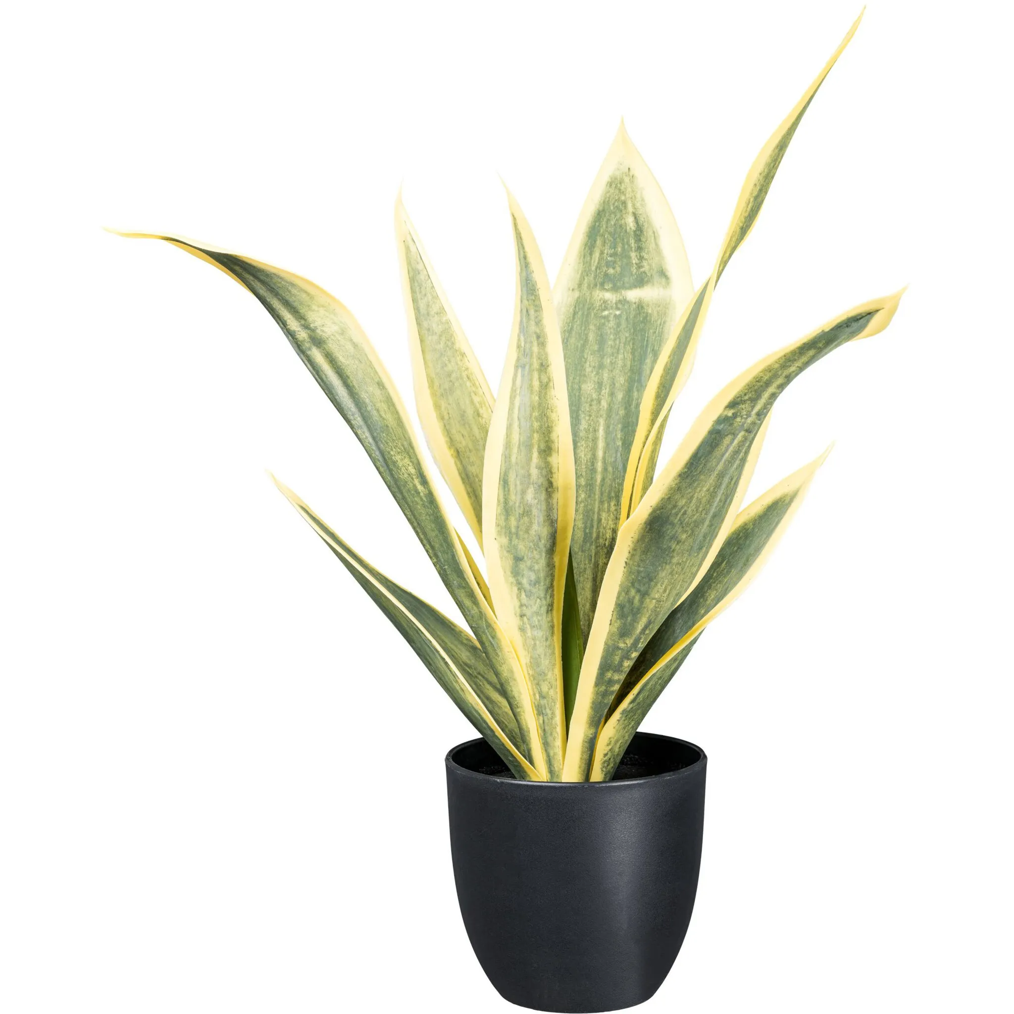 

Creativ green Искусственное комнатное растение «Sansevieria Trifasciata» с зелено-желтыми листьями, зеленый