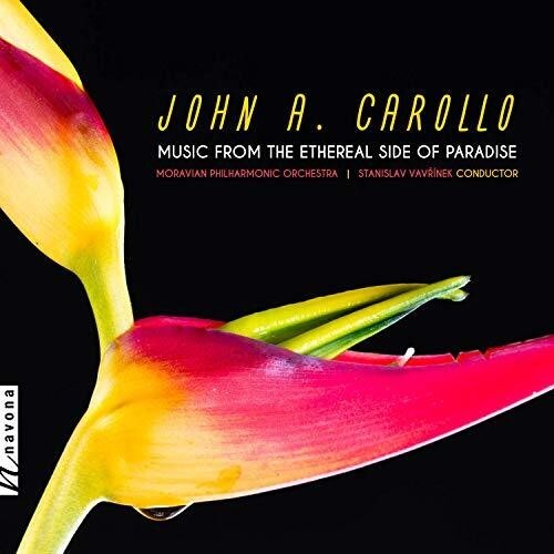 

CD диск Carollo / Moravian Philharmonic Orchestra: Music from the Ethereal Side of Paradise