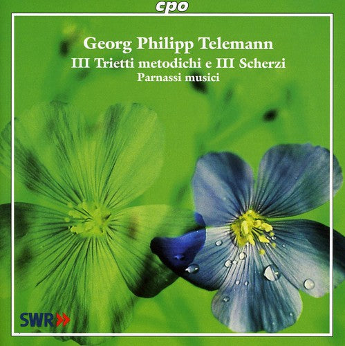 

CD диск Telemann / Parnassi Musici: Ill Trietti Metodichi E Ill Scherzi