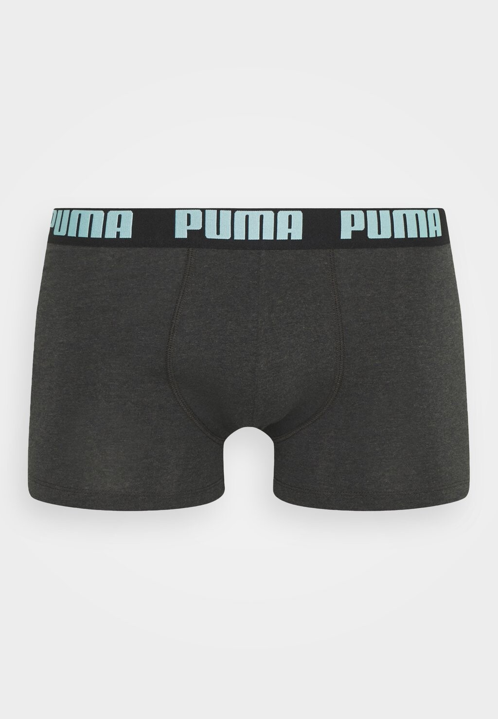 

Брюки HERITAGE STRIPE 2 PACK Puma, бирюзовый
