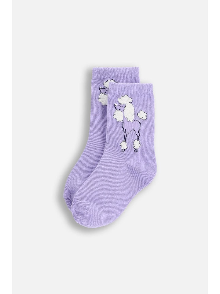 

Coccodrillo Носки фиолетового цвета