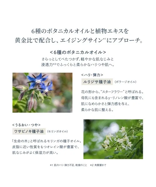 Бустер Waphyto — Regenera Enriched Facial Oil, 30 мл — фото 2