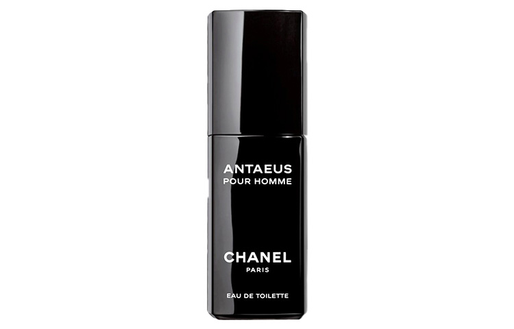 Мужской туалетной воды Strength Woody And Fruity Accord, 100 мл CHANEL — фото 3