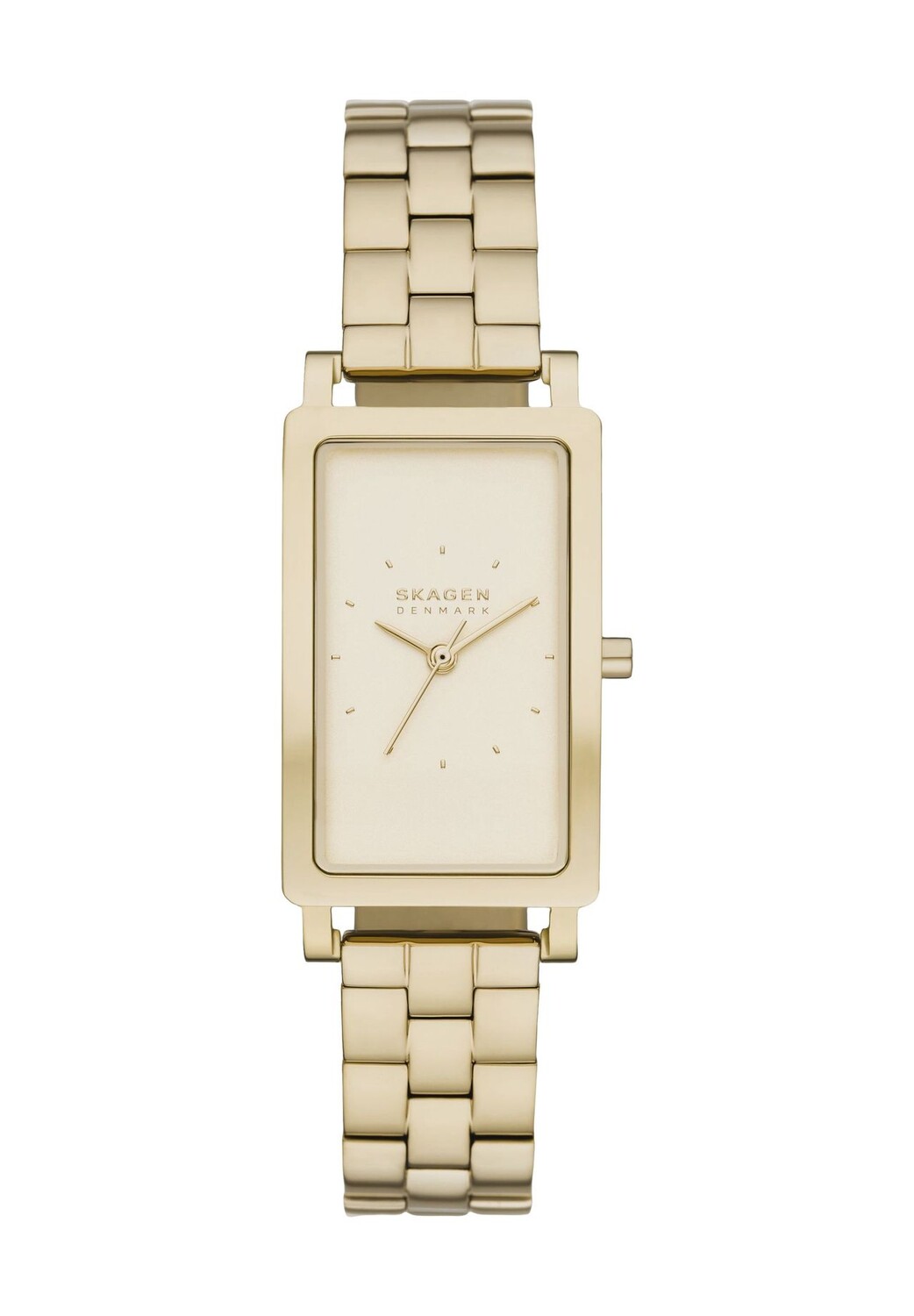 

Женские часы SKW3098 SKAGEN, золото