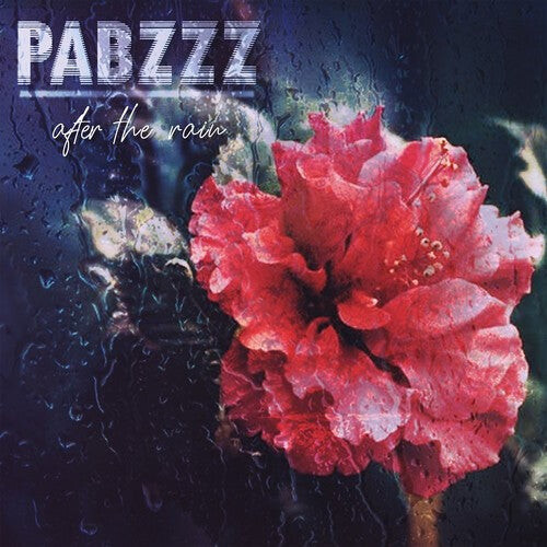 

Виниловая пластинка Pabzzz: After The Rain