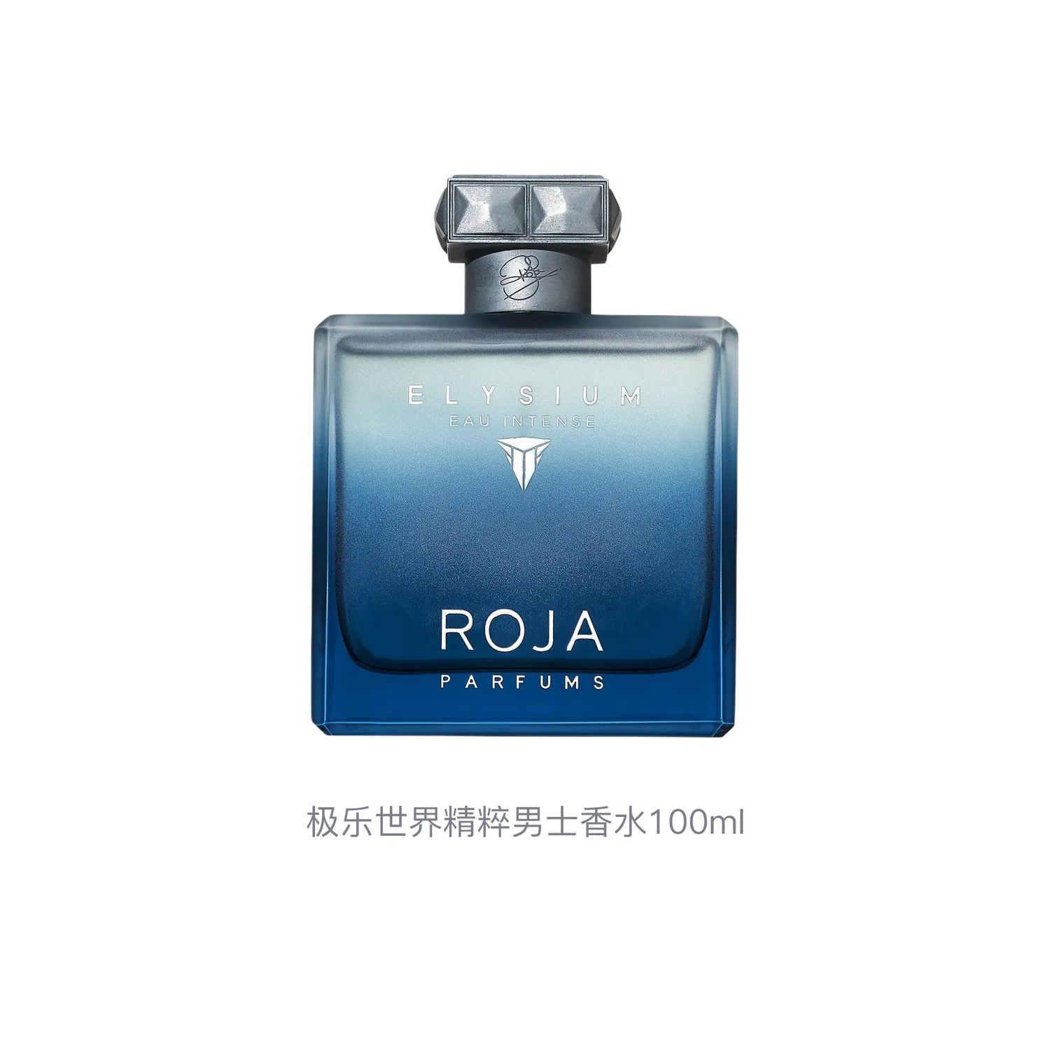 ROJA Bliss World Exquisite Men's Perfumes Fougere Eau De Parfum EDP 100ml Bergamot Grapefruit — фото 3