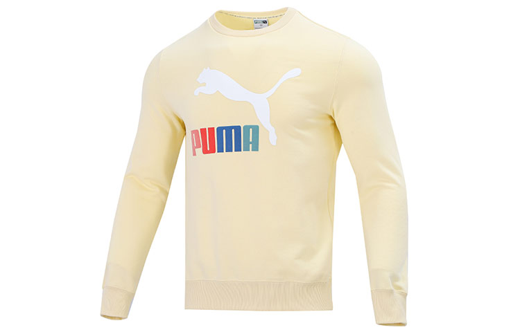 

Мужская толстовка Puma, цвет Beige