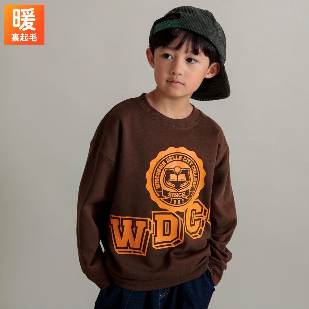 Свитшот с различными графическими принтами Branshes, 64: WDCC-Brown