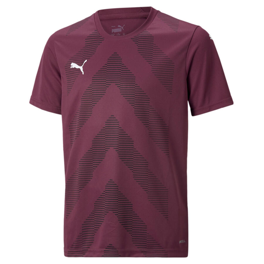 

Футболка Puma Kids' Jerseys teamGLORY Jersey Jr 705309