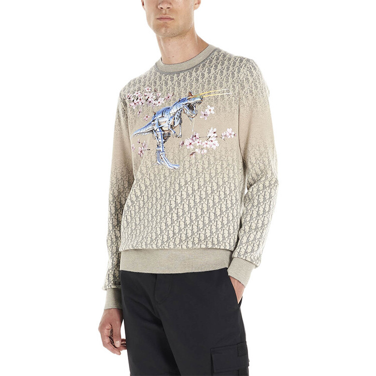 Ежеквартальные новые продукты Кашемировый свитер для мужчин Off White Dior, кремовый — фото 4
